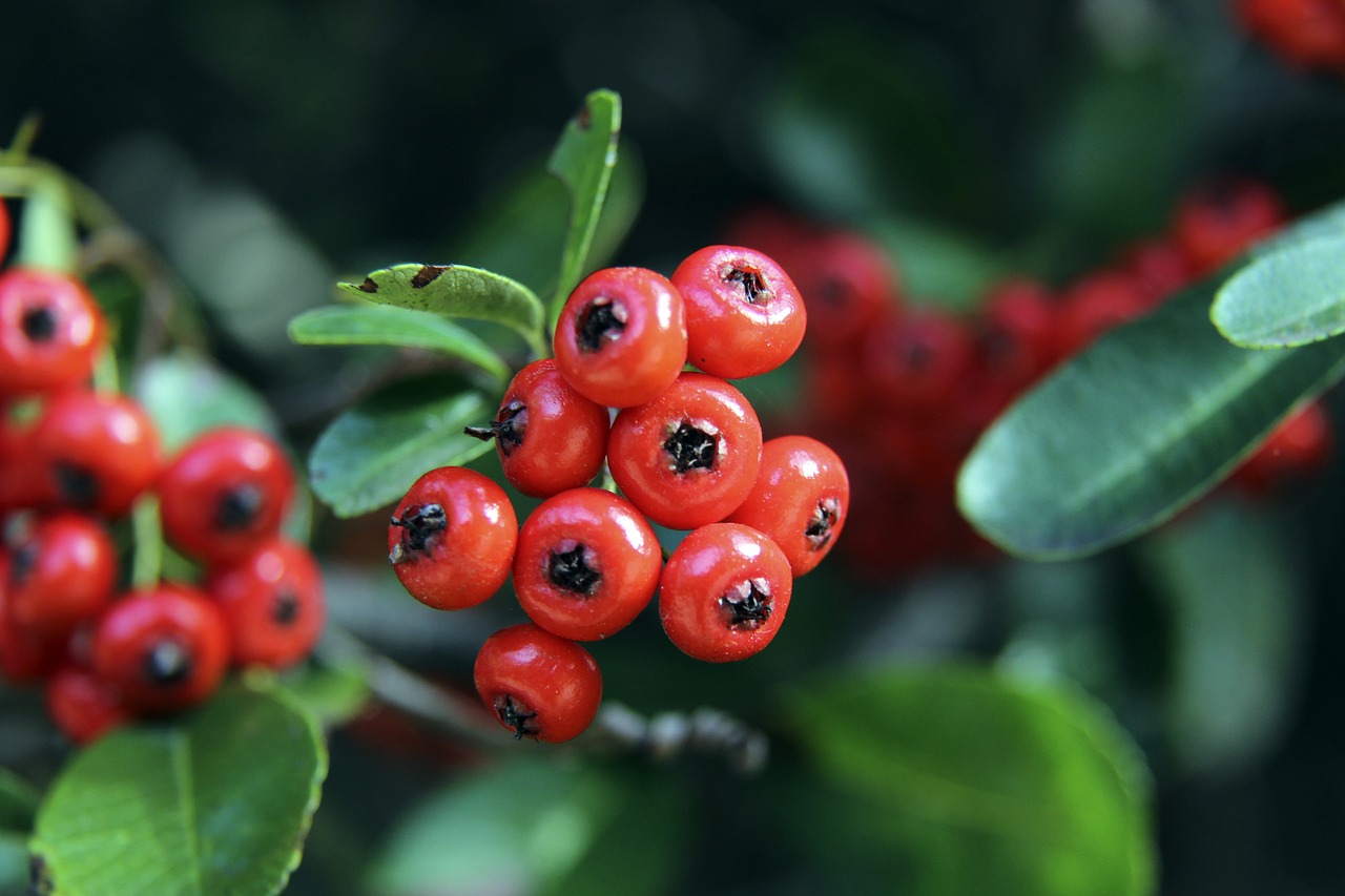 毛孔都会立 毛孔都会立