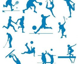 国网球的飞 国网球的飞