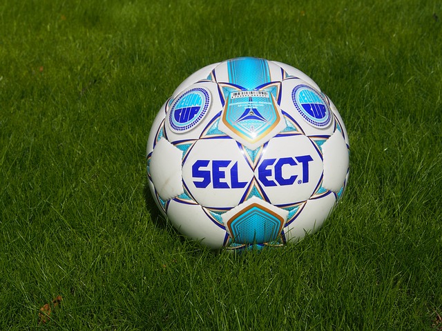 涉及杨瀚森 涉及杨瀚森