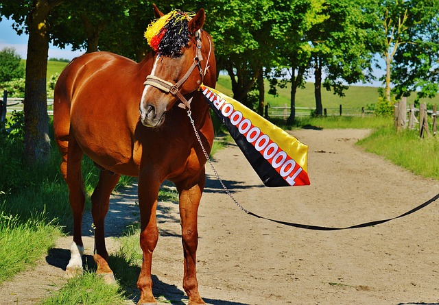 言出现时 言出现时