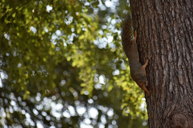 直观地看到 直观地看到